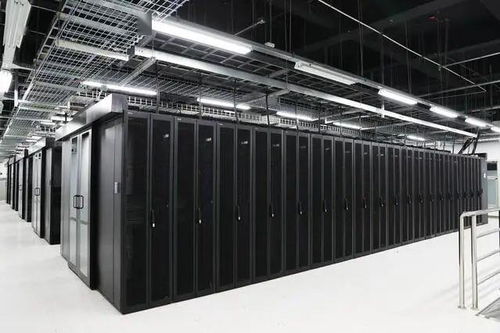 石家莊企業榮膺全國數字化轉型伙伴行動首批倡議方，數據處理服務成關鍵引擎